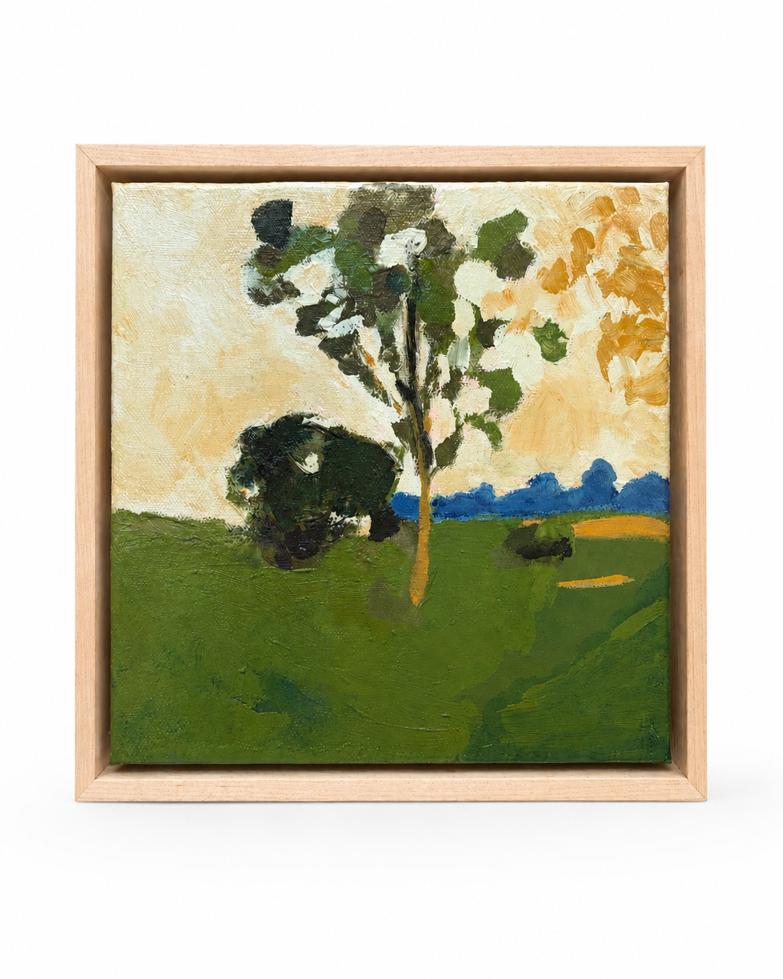 Golden Hour  |  8x8